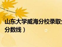 山东大学威海分校录取分数线2022（山东大学威海分校录取分数线）