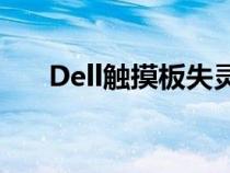 Dell触摸板失灵代码10（dell触摸板）