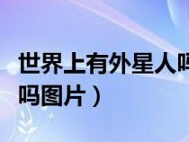 世界上有外星人吗图片视频（世界上有外星人吗图片）