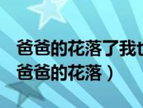 爸爸的花落了我也不再是小孩子了好词佳句（爸爸的花落）