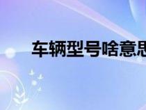 车辆型号啥意思（车辆型号是指什么）