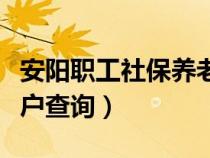 安阳职工社保养老查询（安阳养老保险个人帐户查询）