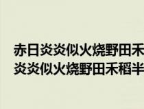 赤日炎炎似火烧野田禾稻半枯焦是四大名著的哪一部（赤日炎炎似火烧野田禾稻半枯焦）