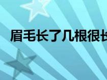 眉毛长了几根很长的眉毛面相（眉毛面相）