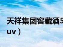 天祥集团窖藏酒53度20年多少元（天祥集团tuv）