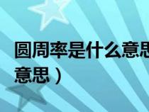 圆周率是什么意思几年级会学（圆周率是什么意思）