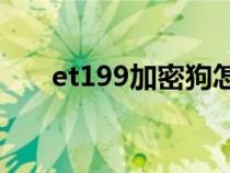 et199加密狗怎么用（加密狗怎么用）