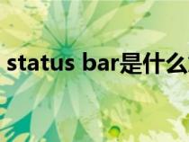 status bar是什么意思（status是什么意思）