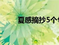 夏感摘抄5个句子鉴赏（夏感赏析）