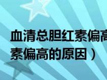 血清总胆红素偏高的原因是什么（血清总胆红素偏高的原因）