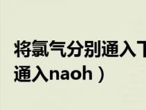 将氯气分别通入下列溶液中（某温度下将氯气通入naoh）