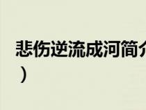 悲伤逆流成河简介100字（悲伤逆流成河简介）