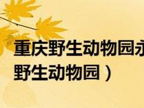 重庆野生动物园永川野生动物世界官网（重庆野生动物园）