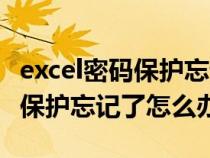 excel密码保护忘记了怎么办解除（excel密码保护忘记了怎么办）