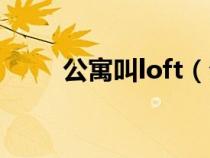 公寓叫loft（公寓loft是什么意思）