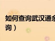 如何查询武汉通余额查询（武汉通余额在线查询）