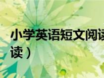 小学英语短文阅读经典美文（小学英语短文阅读）