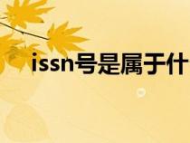 issn号是属于什么特征（issn号是什么）