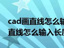 cad画直线怎么输入长度按回车没用（cad画直线怎么输入长度）