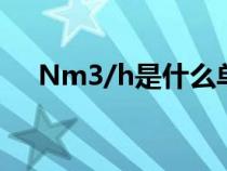 Nm3/h是什么单位（nm3是什么单位）