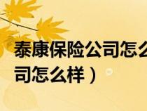 泰康保险公司怎么样有五险一金（泰康保险公司怎么样）