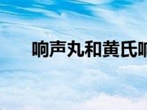 响声丸和黄氏响声丸的区别（响声丸）