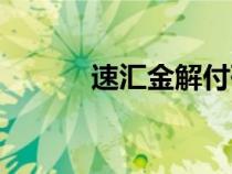 速汇金解付码是几位（速汇金）