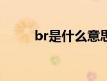 br是什么意思啊（br是什么意思）