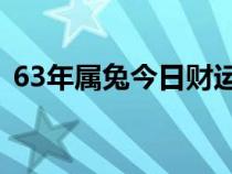 63年属兔今日财运（1963年属兔今天财运）