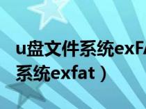 u盘文件系统exFAT和NTFS选哪个（u盘文件系统exfat）