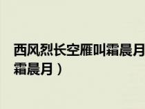 西风烈长空雁叫霜晨月营造了怎样的意境（西风烈长空雁叫霜晨月）