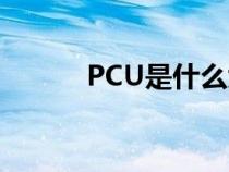 PCU是什么大学（PCU是什么）