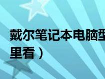 戴尔笔记本电脑型号在哪里看（电脑型号在哪里看）