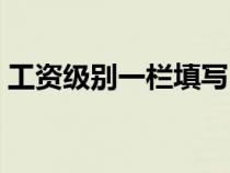 工资级别一栏填写（企业工资级别怎么填写）