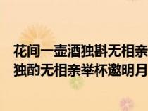 花间一壶酒独斟无相亲举杯邀明月对影成三人（花间一壶酒独酌无相亲举杯邀明月对影成三人）