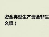 资金类型生产资金非生产资金（资金性质生产性非生产性怎么填）