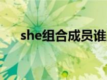 she组合成员谁坐过牢（she组合成员）