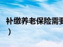 补缴养老保险需要带什么材料（补缴养老保险）