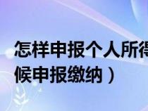 怎样申报个人所得税流程（企业所得税什么时候申报缴纳）