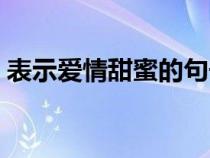 表示爱情甜蜜的句子（表达爱情甜蜜的句子）