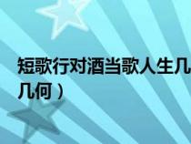 短歌行对酒当歌人生几何表达了什么（短歌行对酒当歌人生几何）