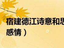 宿建德江诗意和思想感情（宿建德江诗意思想感情）