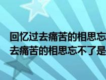 回忆过去痛苦的相思忘不了为何你还来拨动我心跳（回忆过去痛苦的相思忘不了是什么歌）