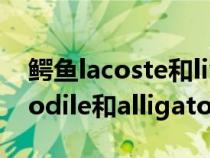 鳄鱼lacoste和live区别（请问关于鳄鱼crocodile和alligator的区别）