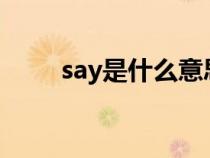 say是什么意思（wait是什么意思）