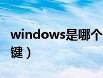 windows是哪个键盘图片（windows是哪个键）