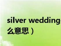 silver wedding是什么意思（wedding是什么意思）