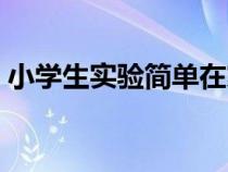 小学生实验简单在家就能做的（小学生实验）