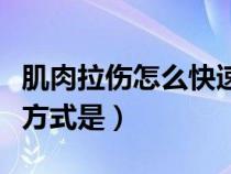 肌肉拉伤怎么快速恢复（肌肉拉伤的最佳处理方式是）