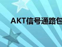 AKT信号通路包括什么（akt信号通路）